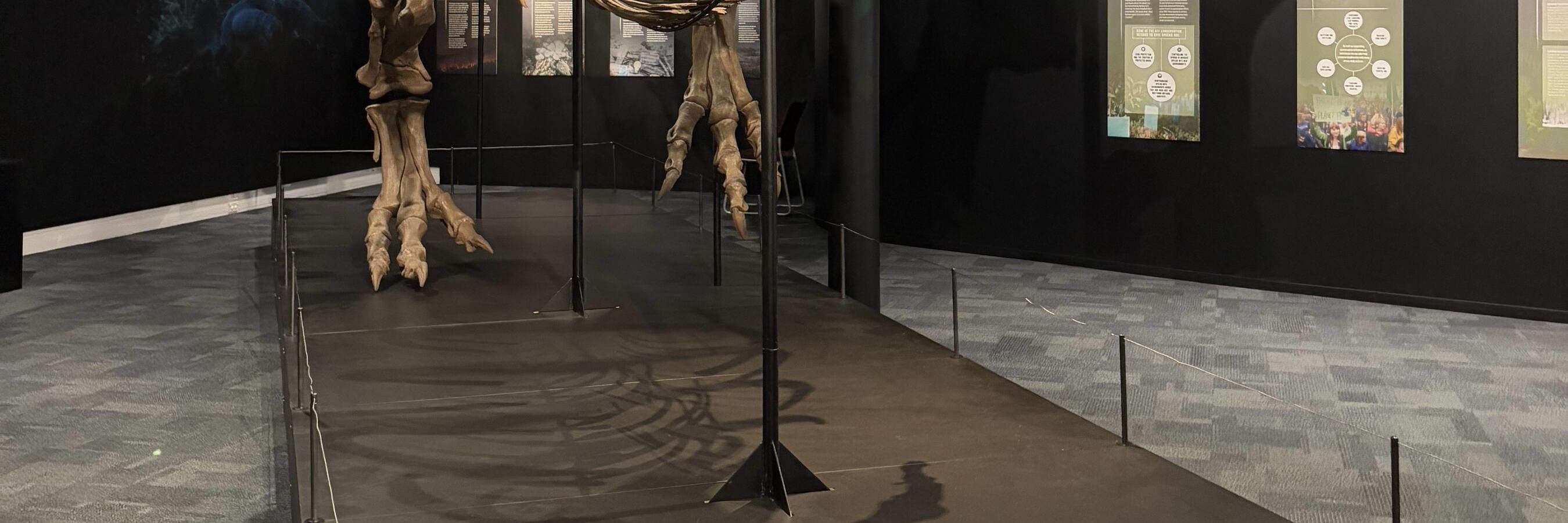 Science Centre Dinosaurier Aussterben Wir Ausstellung